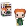Quantum Collectibles Funko Pop! Vinyls Funko Pop! Movies Hocus Pocus Winifred Sanderson 433