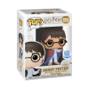 Quantum Collectibles Funko Pop! Vinyls Funko Pop! Harry Potter With Invisibility Cloak Funko Shop Exclusive